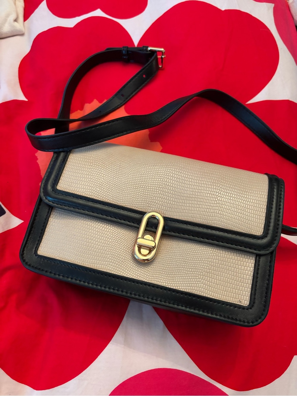 Classic Two-Tone Crossbody Bag in Beige and Black